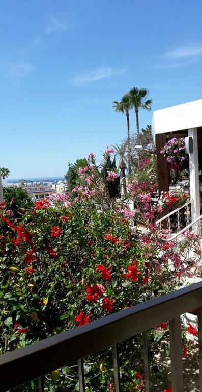 Myriama Apartments アヤナパ エクステリア 写真