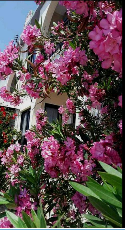 Myriama Apartments アヤナパ エクステリア 写真